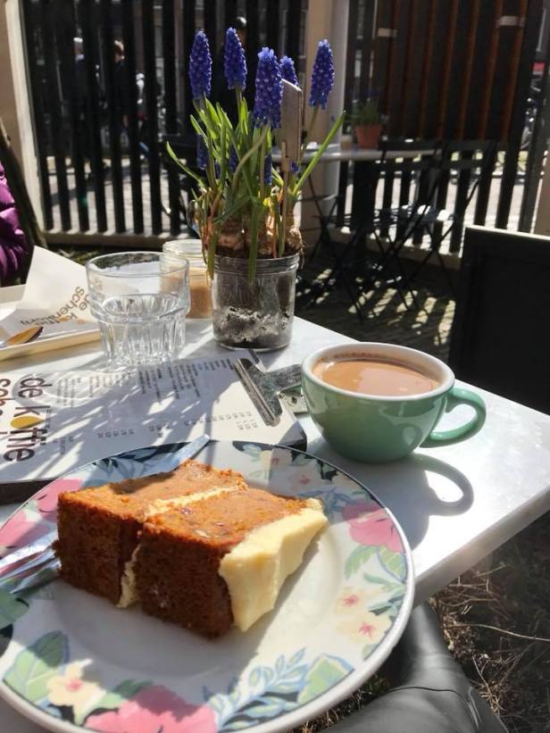 29597823_10216713998508582_5680636238728366329_n