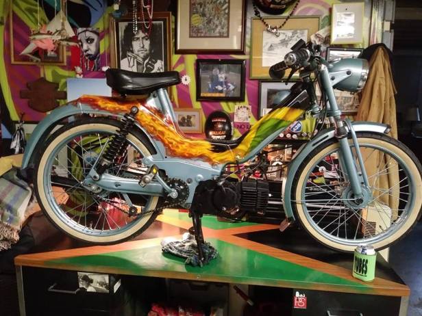 53813270_2321772037844553_8222294651411890176_n