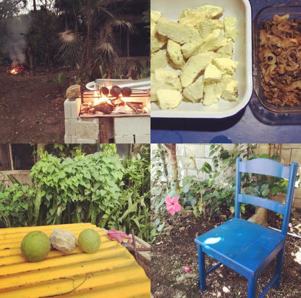 Daddy Coo breadfruit