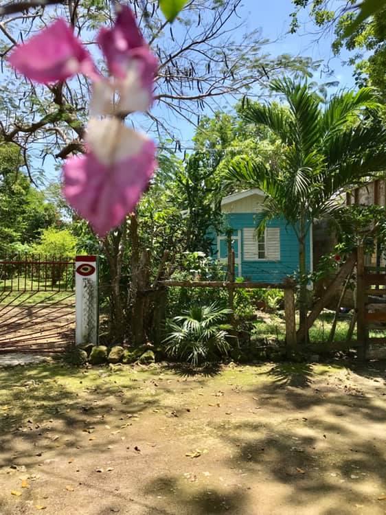 Daddy Coo lil blue house