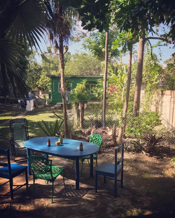 Daddy Coo yard and table